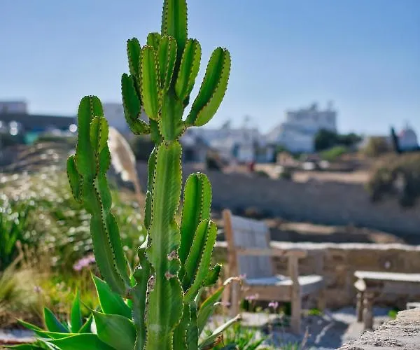 San Antonio Summerland 4*