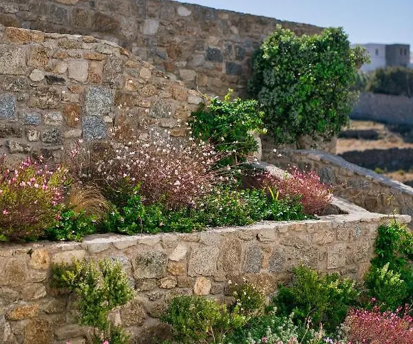 ホテル San Antonio Summerland Mykonos Town